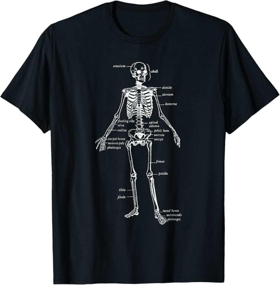 Amazon.com: Skeleton Skeletal System Anatomy Names of Bones T